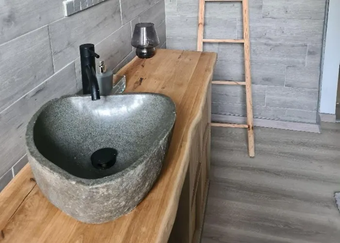 Landeskrone 公寓 *